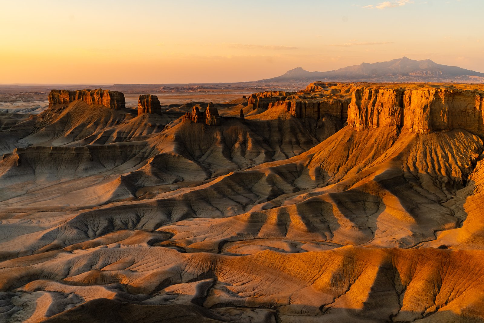 Landscape Cover