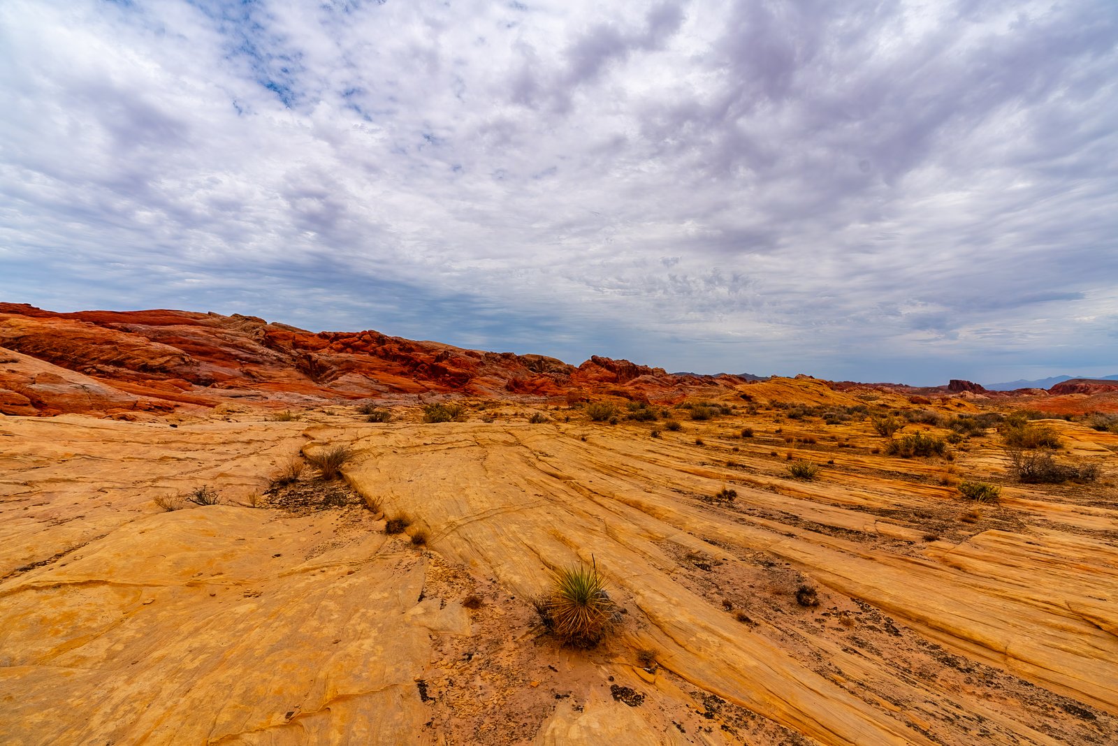 Landscape Photo 3